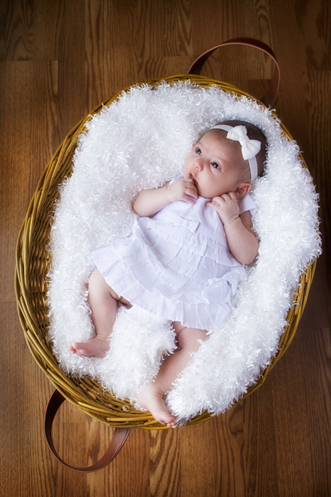 baby portrait photographers bayside ny