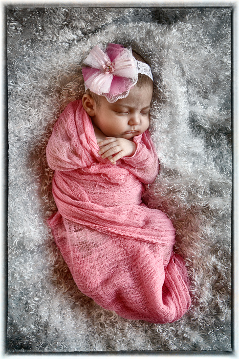 best newborn photographer long island ny