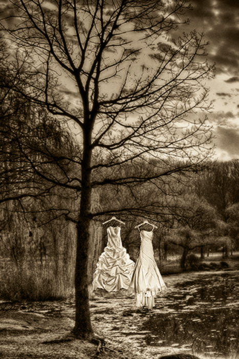 same sex wedding photography long island lesbian weddings gay marriage photography nassau suffolk ny